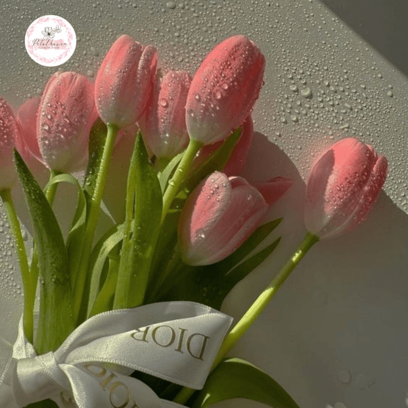 hoa-tulip-tuong-trung-cho-dieu-gi?