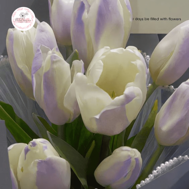 hoa-tulip-tuong-trung-cho-dieu-gi?