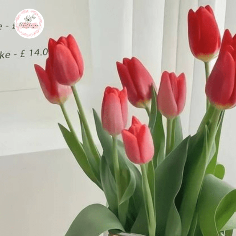 hoa-tulip-tuong-trung-cho-dieu-gi?