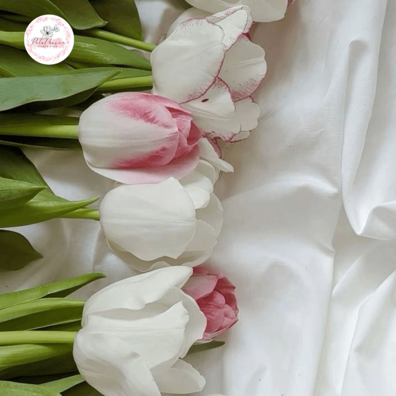 hoa-tulip-tuong-trung-cho-dieu-gi?