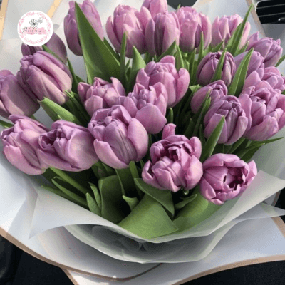 hoa-tulip-co-y-nghia-gi-trong-tinh-yeu