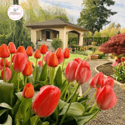 hoa-tulip-co-y-nghia-gi-trong-tinh-yeu