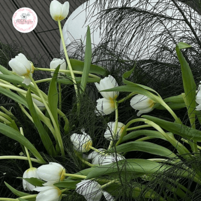 hoa-tulip-co-y-nghia-gi-trong-tinh-yeu