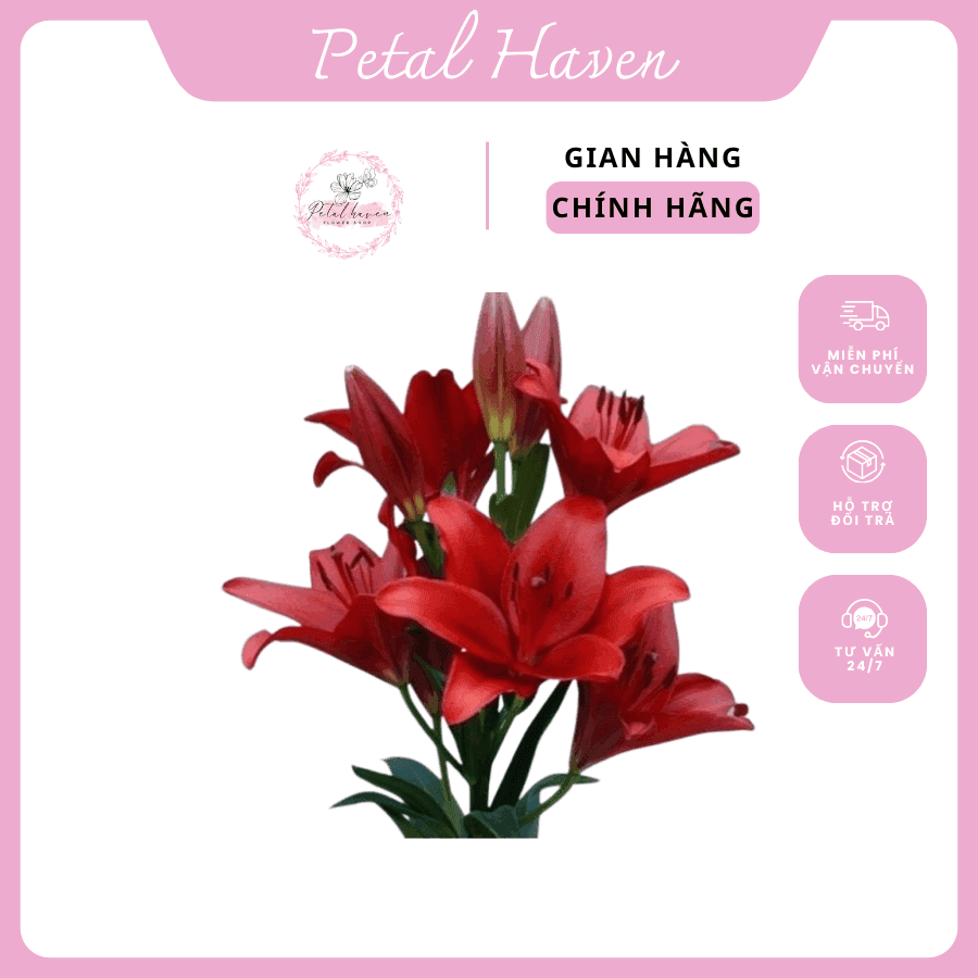 petal-haven