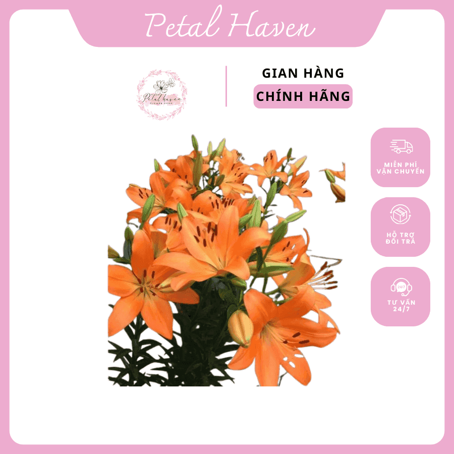 petal-haven