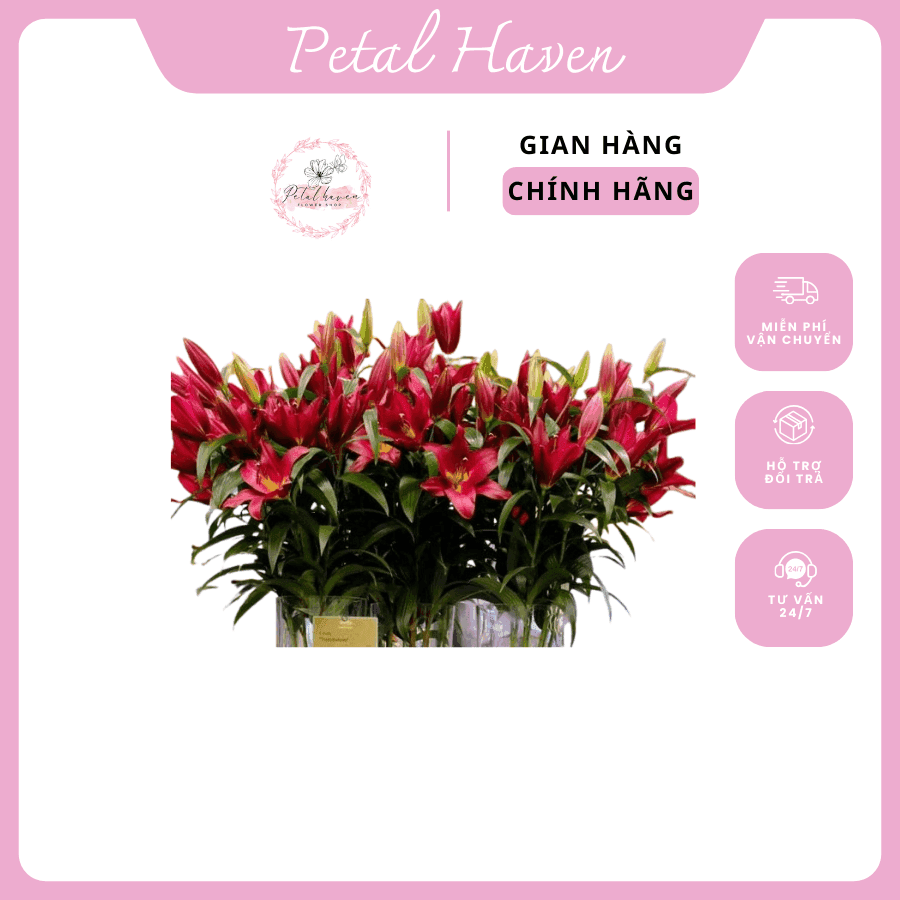 petal-haven
