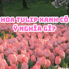 petal-haven