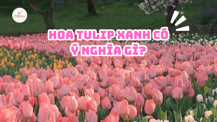 petal-haven