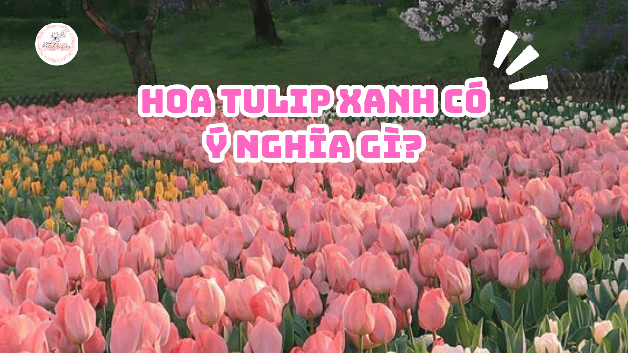 petal-haven