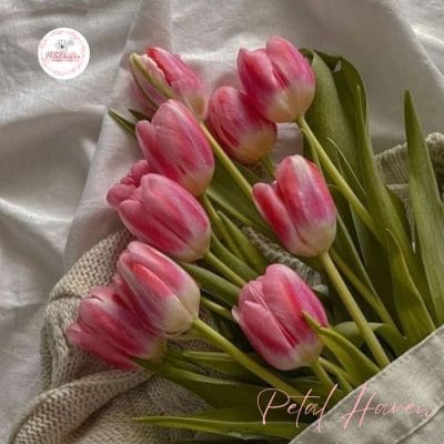 hoa-tulip-hong-co-y-nghia-gi