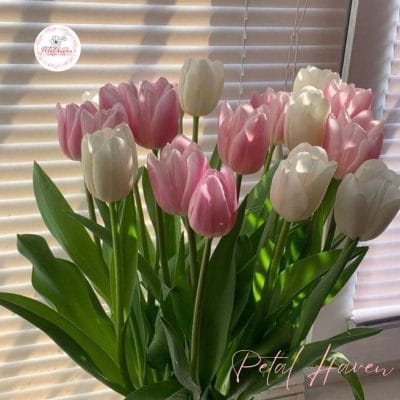hoa-tulip-hong-co-y-nghia-gi