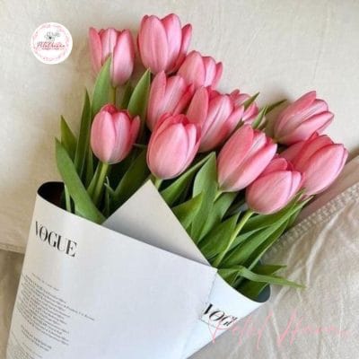 hoa-tulip-hong-co-y-nghia-gi