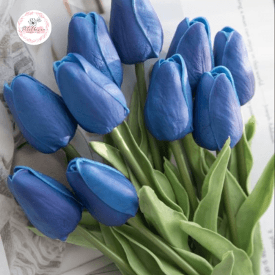 hoa-tulip-xanh-co-y-nghia-gi