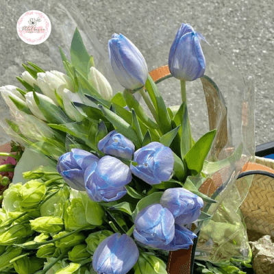 hoa-tulip-xanh-co-y-nghia-gi