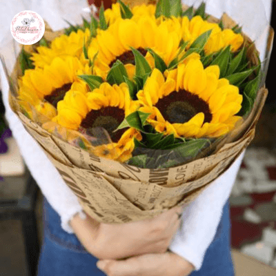 hoa hướng dương nở nơ rực