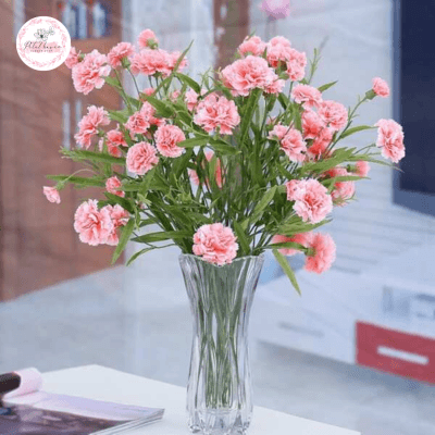 Hoa Cẩm Chướng Đỏ Có Ý Nghĩa Gì