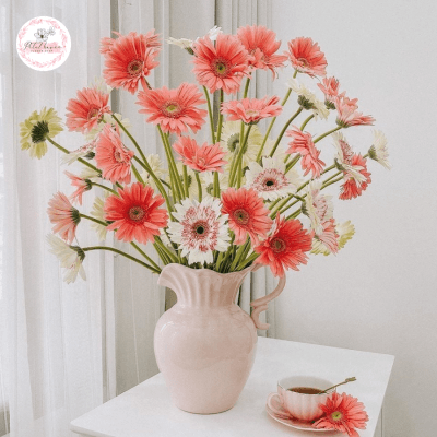 Cách Cắm Hoa Đồng Tiền