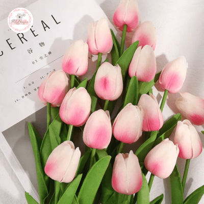 Hoa Tulip Giá Bao Nhiêu