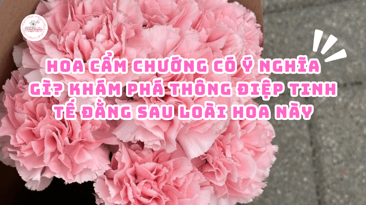 hoa-cam-chuong-co-y-nghia-gi