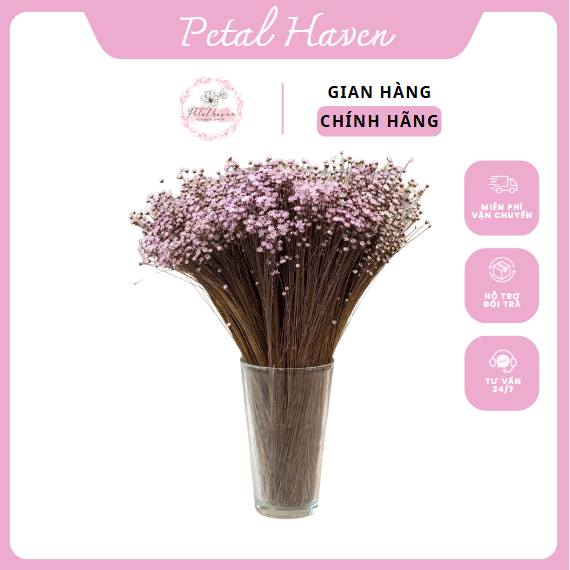 petal-haven