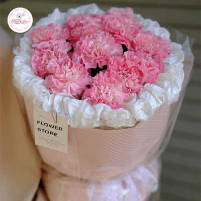 hoa cẩm chướng hồng
