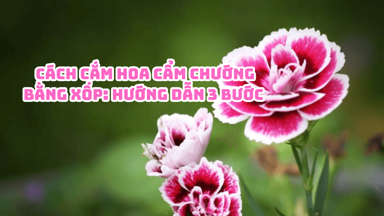 cach-cam-hoa-cam-chuong-bang-xop