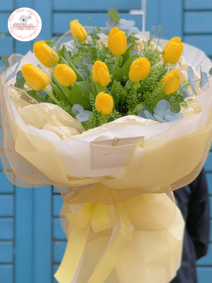 hoa tulip vàng có ý nghĩa gì