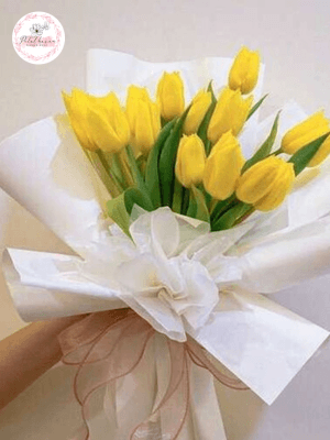 hoa tulip vàng có ý nghĩa gì