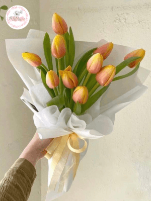 hoa tulip vàng có ý nghĩa gì