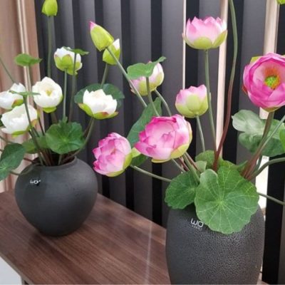 Các cách cắm hoa sen 5 bông đẹp