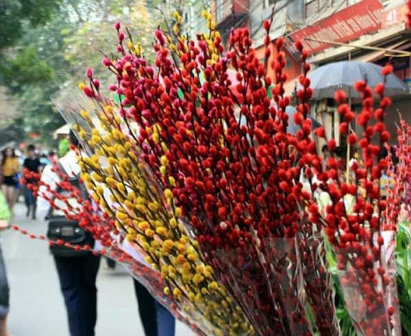 Cách cắm hoa nụ tầm xuân