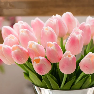 hoa-tulip-hong-petal-haven