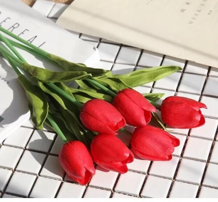 hoa-tulip-do-petal-haven