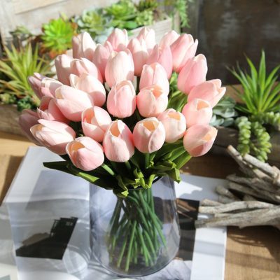 hoa-tulip-hong-petal-haven