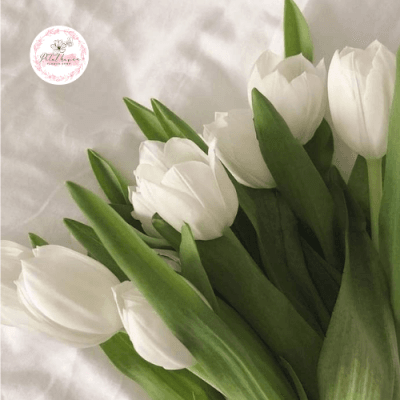 ý-nghĩa-hoa-tulip-trắng