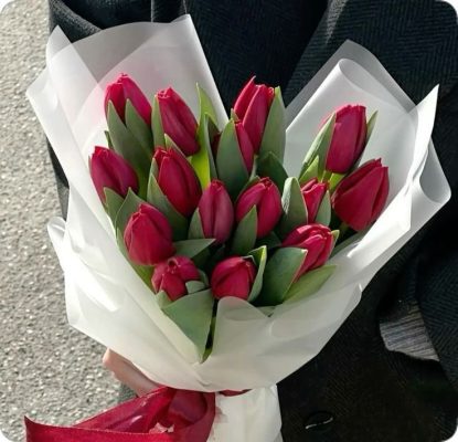 hoa-tulip-do-petal-haven