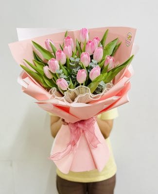 hoa-tulip-hong-petal-haven