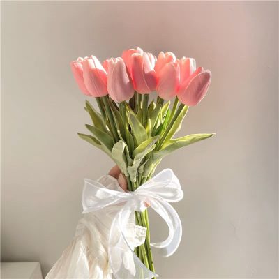 hoa-tulip-hong-petal-haven