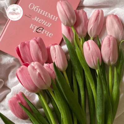 Hoa Tulip Ở Nước Nào?