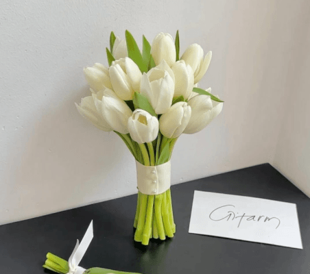 hoa Tulip