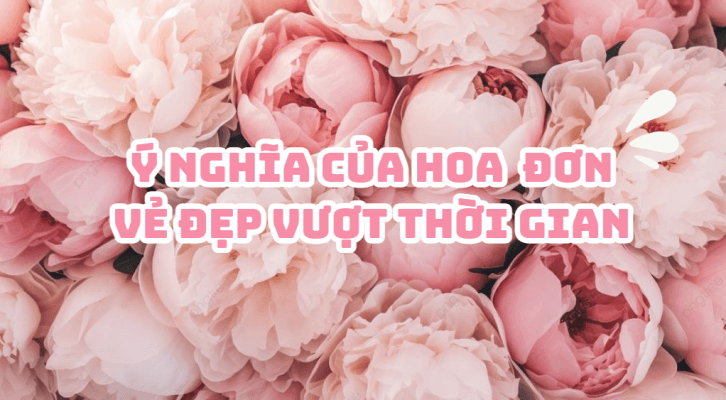 hoa đơn