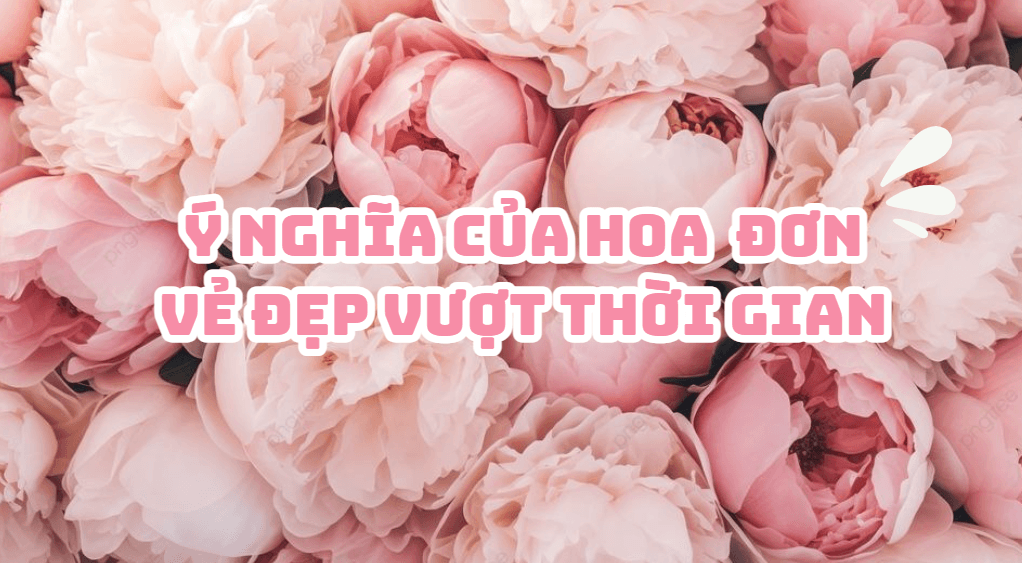 hoa đơn