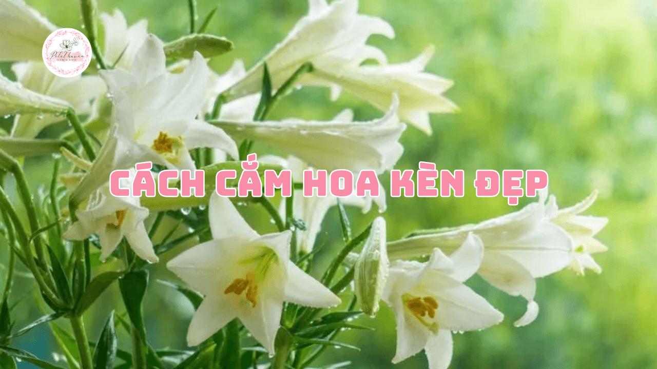 cách cắm hoa kèn đẹp
