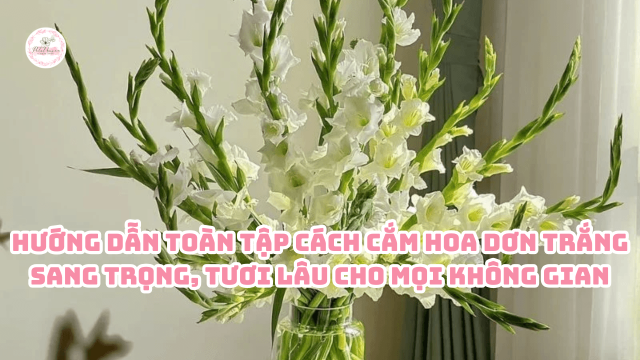 cach-cam-hoa-don
