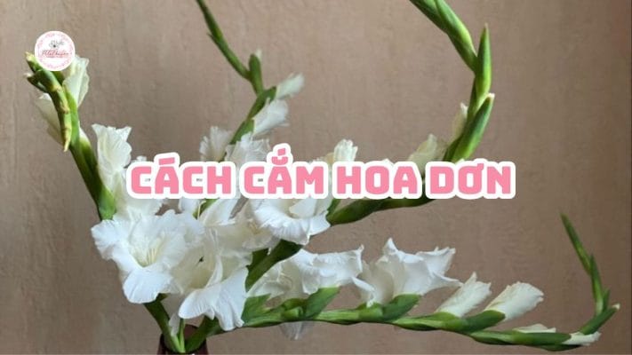 cach-cam-hoa-don-petalhaven
