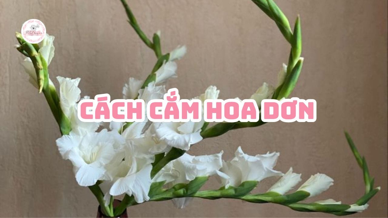 cach-cam-hoa-don-petalhaven