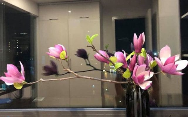 cách cắm hoa mộc lan