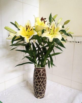 cach-cam-hoa-ly-petal-haven