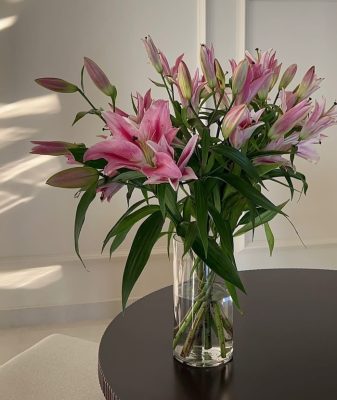 cach-cam-hoa-ly-petal-haven