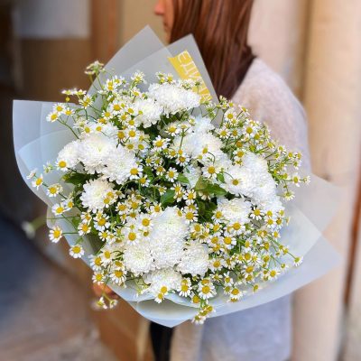 hoa-cuc-trang-petal-haven